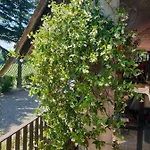 Bed & Breakfast Il Giardino Di Mai Exclusive *