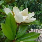 Il Giardino Di Mai Exclusive *