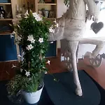 Il Giardino Di Mai Exclusive Bed & Breakfast