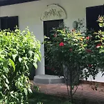 Il Giardino Di Mai Exclusive