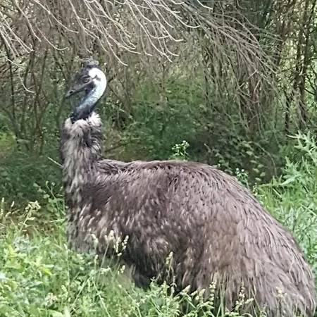 Il Giardino Di Mai Exclusive לינה וארוחת בוקר