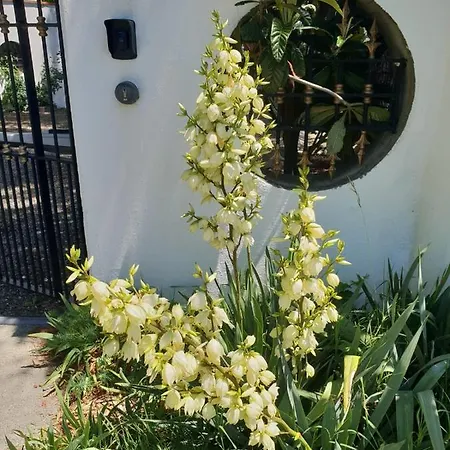 Il Giardino Di Mai Exclusive לינה וארוחת בוקר Montabone