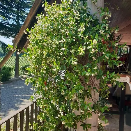 לינה וארוחת בוקר Il Giardino Di Mai Exclusive *