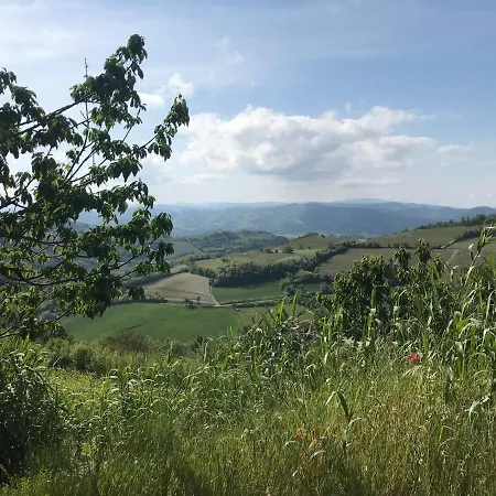 Il Giardino Di Mai Exclusive