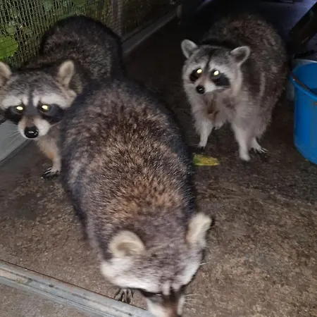 Il Giardino Di Mai Exclusive * Montabone