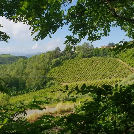 B&B Il Giardino Di Mai Exclusive