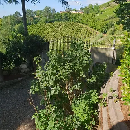 Il Giardino Di Mai Exclusive Montabone