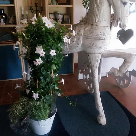 Il Giardino Di Mai Exclusive לינה וארוחת בוקר