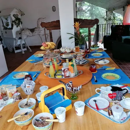 Il Giardino Di Mai Exclusive * Montabone