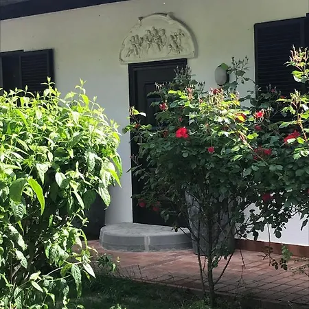 Il Giardino Di Mai Exclusive