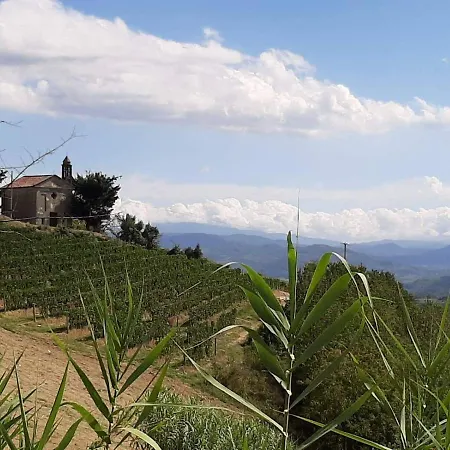 לינה וארוחת בוקר Il Giardino Di Mai Exclusive *