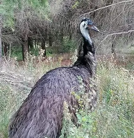 Il Giardino Di Mai Exclusive Montabone