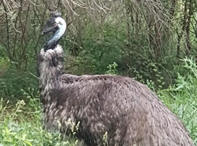 Il Giardino Di Mai Exclusive Bed & Breakfast