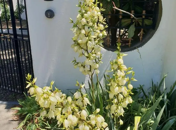 Il Giardino Di Mai Exclusive Bed & Breakfast Montabone