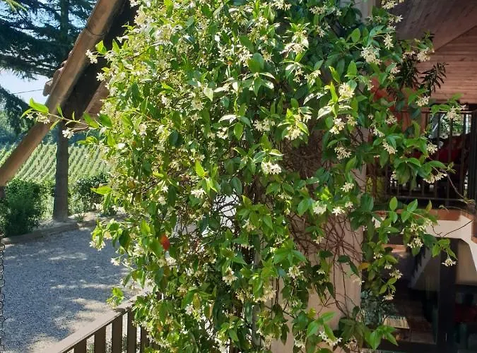 فندق مبيت وإفطار Il Giardino Di Mai Exclusive *