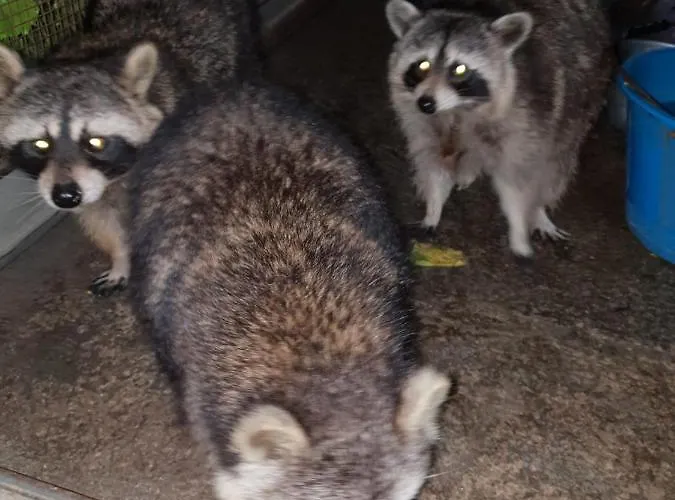 Il Giardino Di Mai Exclusive * Montabone