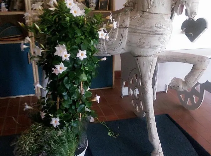 Il Giardino Di Mai Exclusive فندق مبيت وإفطار