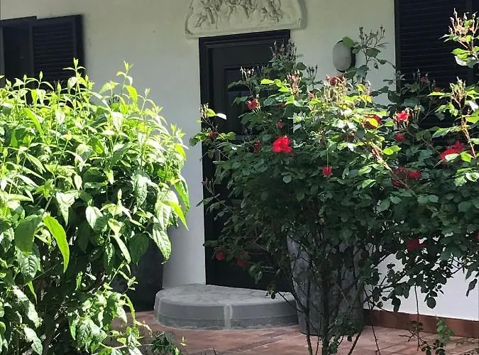 Il Giardino Di Mai Exclusive