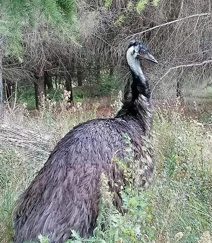 Il Giardino Di Mai Exclusive Montabone