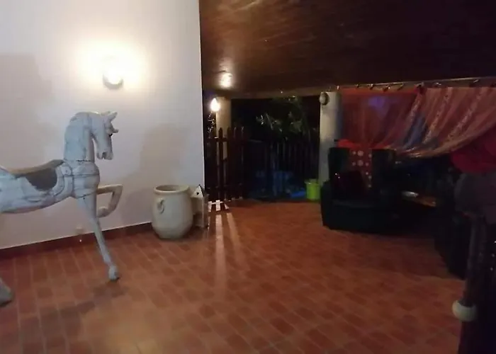 Il Giardino Di Mai Exclusive